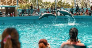 Miami Seaquarium - akvarie och marin temapark